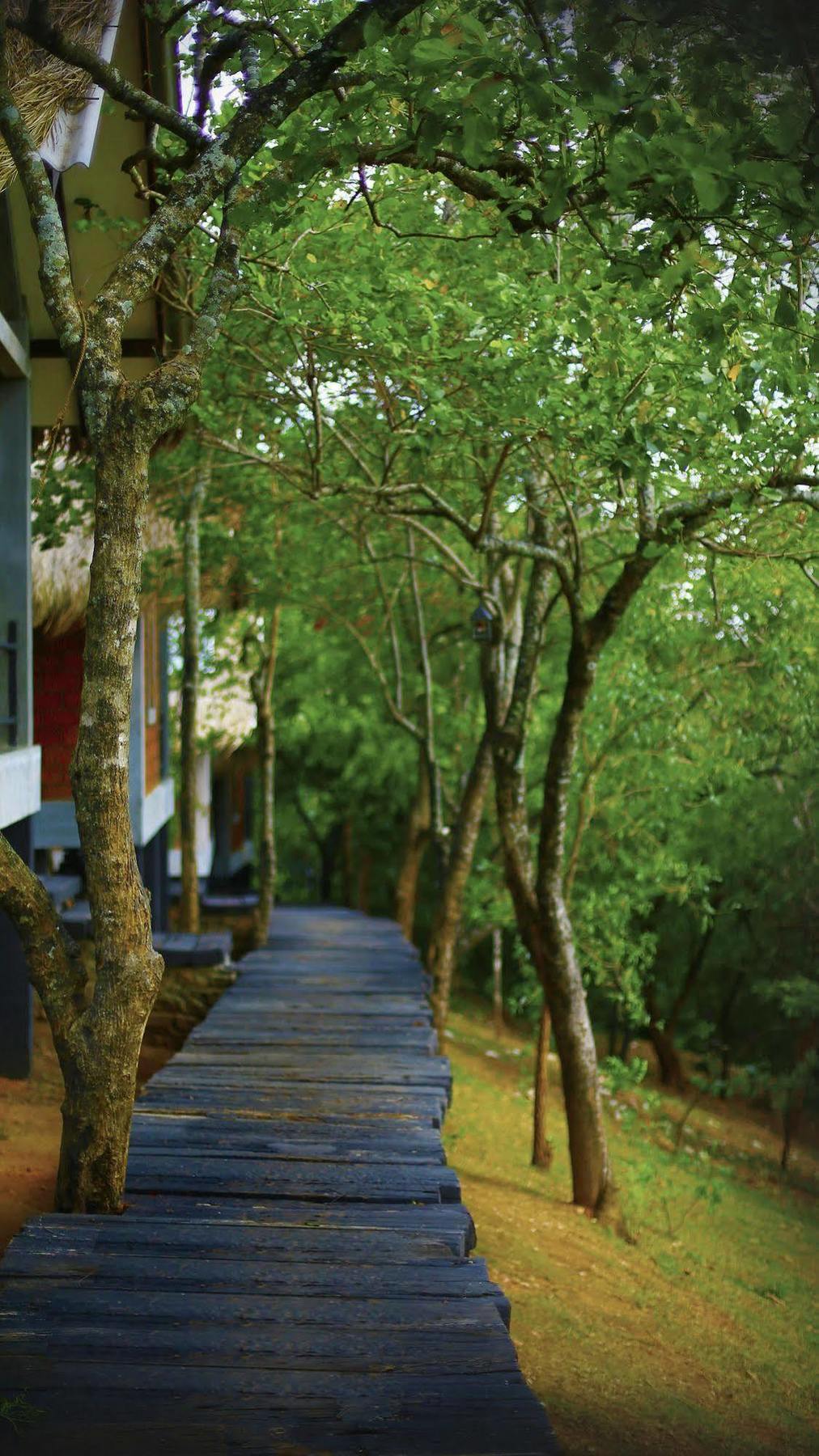 Elephant Stables Dambulla Exterior photo